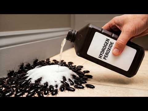 9 Hydrogen Peroxide Uses That Exterminators HIDE From You