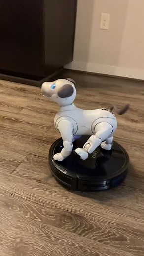 Casper the Friendly Robot finally makes friends with the roomba! #fyp #sony #aibo #robotics #robotdog #thegoodestboy #dogsoftiktok #pawpatrol #puppy