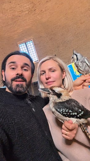 13 reactions | #falcong #passeggiatewild #marche #italwild #falconry #life #falcon #giovannigranati #ascolipiceno #ascolimusei #athenajitariuc | Flyboost by Giovanni-Athena Granati | Facebook