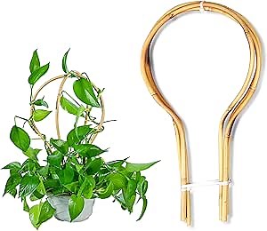 Bamboo Trellis 15 in Loop - Round Shaped for Potted Climbing Plants, Small Trellis for Training Hoya, Ivy, Monstera, Cucumber and Fruits - 3 Pack
