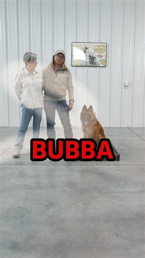 Kent & Michele’s journey with their dog Bubba at Idaho Elite K-9 has been incredible! Bubba completed our 4 Week Board & Train Program. 🐾 From day one, they’ve been dedicated to the training process, and the results speak for themselves. With expert guidance and their commitment to Bubba’s growth, he’s become a well-balanced, confident dog. Watching this transformation has been so rewarding! 💪🐶 Kent, Michele & Bubba, you are all amazing and we appreciate you all so much! Comment the word TRAI