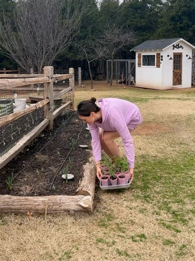There’s nothing like getting hands-on in the garden and feeling everything you’re working with. Digging into the soil. Planting seeds with care. Tending to each little sprout. Harvesting the rewards. I want to experience it all—bare hands in the dirt, feet in the grass, grounding every chance I get. It means my hands and feet get scrubbed multiple times a day… but it’s so worth it! 😂 #homesteading #simpleliving #motherhood #homemaking #stayathomemoms