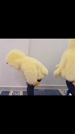 Understanding Dance Trends: Twerk Addiction Explained