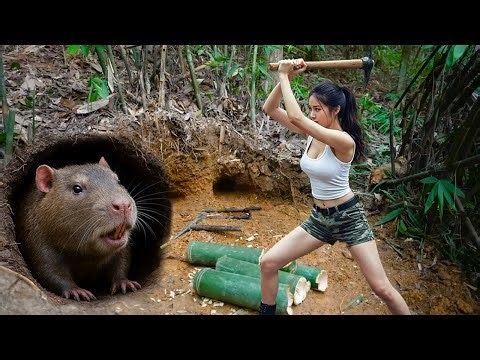 Survival Alone Off Grid: Hunting Bamboo Rats for Food in the Wild