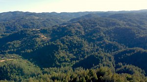 Teravana, AATA and Wellkind team up for CNN's #CallToEarth day