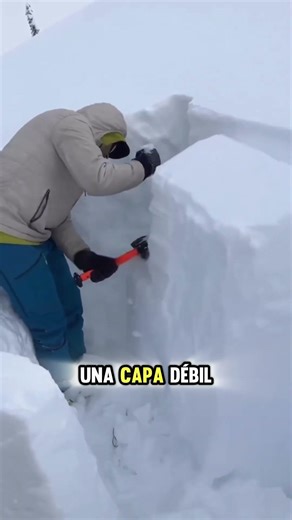 How to perform the snow compression test