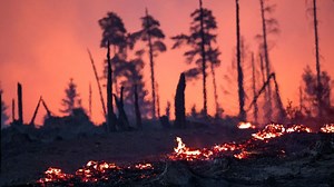 Wildfires in eastern Germany injure firefighters and force evacuations