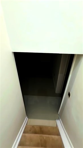 Will it be the ultimate man cave or a sausage dog playground only time will tell 😎 #mancave #playground #goals #dog #fyp