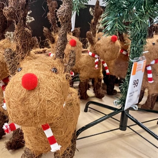 Mitre 10 MEGA Wellington on Reels | Facebook