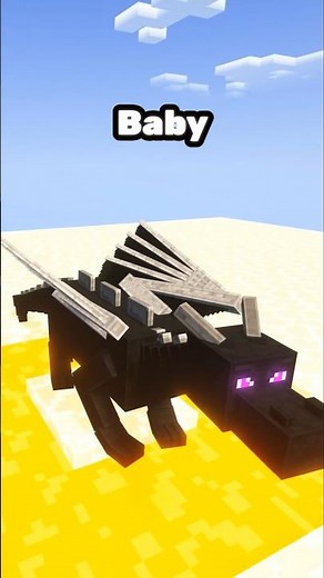 You should try this on the dragon egg! #minecraft #minecraftshorts