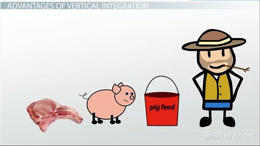 Vertical Integration Strategy | Types, Benefits & Examples