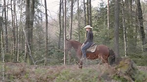 Cowboy riding horse side view through forest tracking 4K
