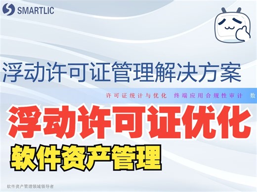 浮动许可证优化管理解决方案