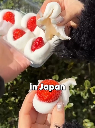 Unique Things to Experience Only in Japan