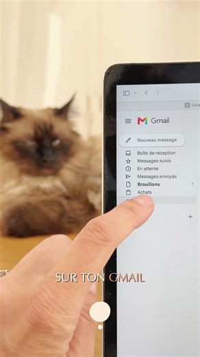 Tutorial Tip: Clear your inbox of spam in one click