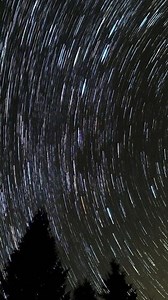 Time lapse of Star trails in the night sky, stars move around a polar star above silhouettes of trees, vertical footage