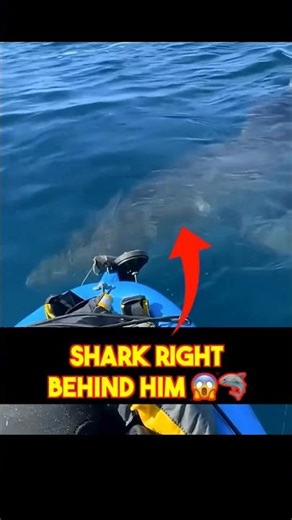 He Heard Something Behind His Kayak… 😨