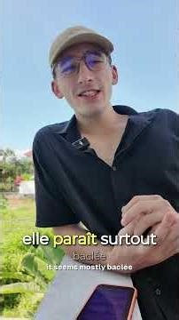 Obsidian ma gym à Bali