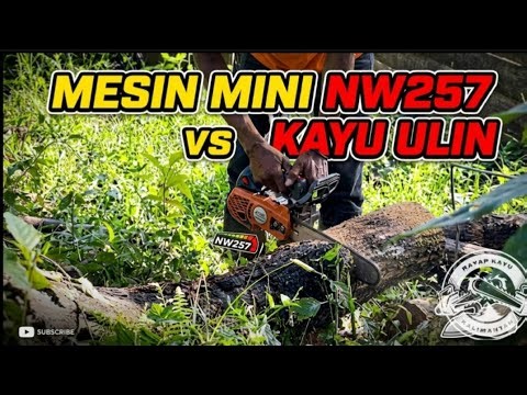 toughness‼️ small 25cc chainsaw engine vs ironwood #chainsaw #ironwood #kayuulin 