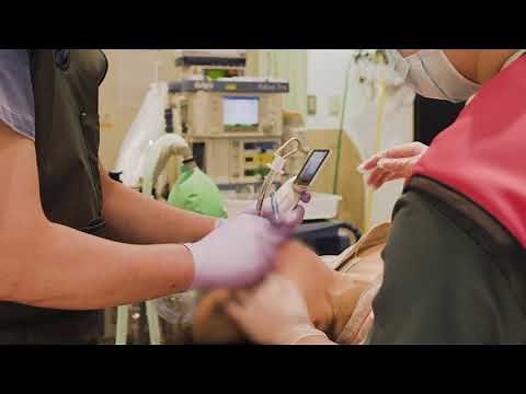 コイル塞栓手術（未破裂脳動脈瘤）の術前後経過