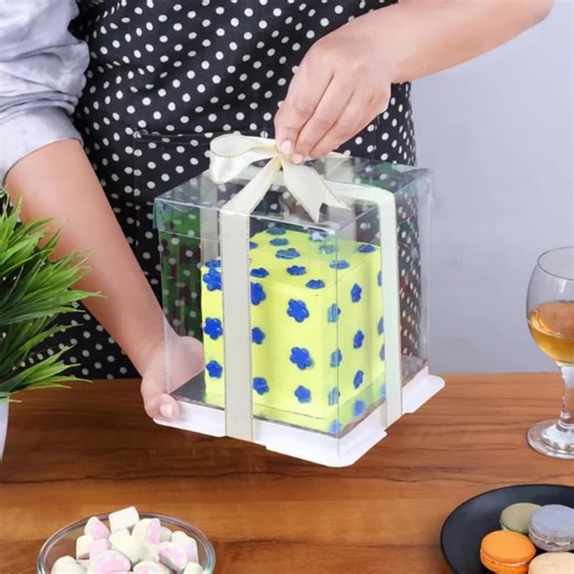 Clear Plastic Cake Boxes for Every Celebration