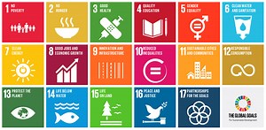 Sustainable Development Goals – BCCIC
