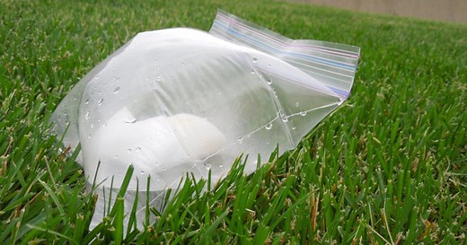 Exploding Ziploc - Chemical Reactions