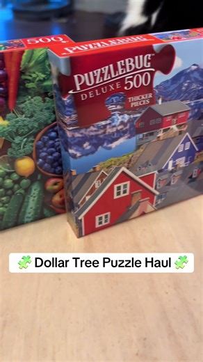 Most recent Dollar Tree puzzle haul. 🧩🙌 I love the variety they have! #puzzletok #puzzles #dollartree #speedpuzzling