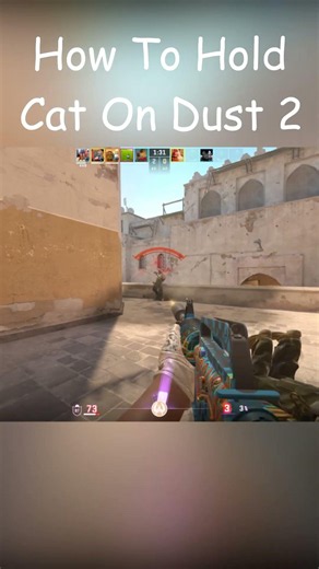 The Best Way To Play Cat On Dust 2