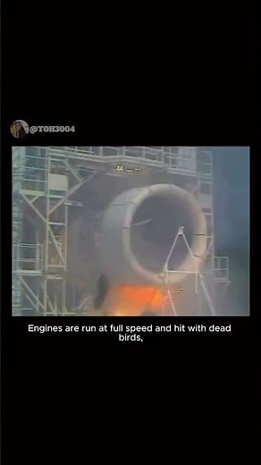 Bird strike jet engine test