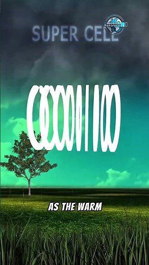 Tornado Alert! What to Do When the Storm Hits