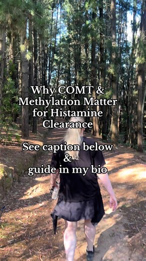 Histamine intolerance is not driven by histamine intake alone. It’s driven by impaired degradation. There are two primary histamine-clearing pathways: \t1.\tDAO (extracellular, gut-dependent) \t2.\tHNMT (intracellular, methylation-dependent) While DAO gets most of the attention, HNMT is responsible for clearing histamine inside tissues, including the brain, liver, and lungs. HNMT requires SAMe, which is generated through the one-carbon (methylation) cycle. This is where COMT (catechol-O-methyltr
