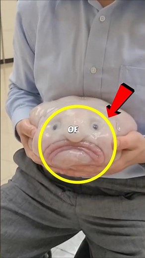 Strange Ocean Creatures 😱 #creatures #shorts #viral