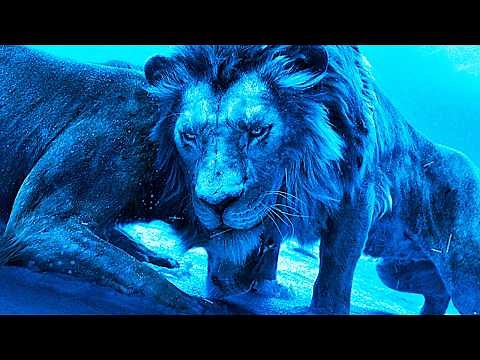 Mufasa The Lion King | Taka Betrays Mufasa Scene Recap