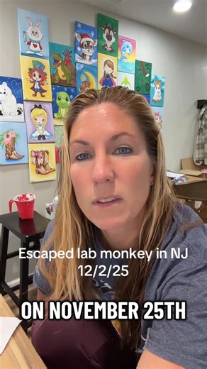 Teacher In NJ on Instagram: "Lab monkeys escape crash, one is now in NJ. Meet Forrest. #newjersey #lab #monkey #whatcouldgowrong #zoo #popcornparkzoo #lacey"