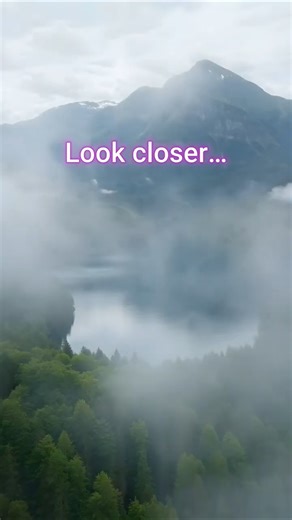 Hidden Landscape Revealed Through Fog | Look Closer
