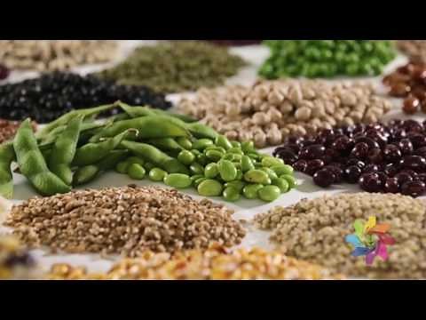 Fixing the Nitrogen Problem