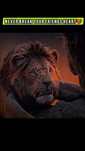 SIMBA & SCAR🦁 MOMENT 😢 #simba #lion #thelionking
