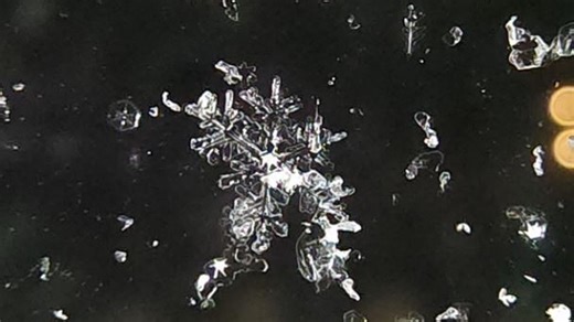 Sunday Science: Different types of snowflakes