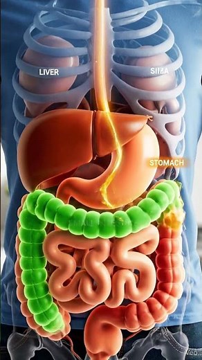 Healthy Living Tips for Beginners, How to Build a Balanced Diet, 10-Minute Home Workouts for Busy