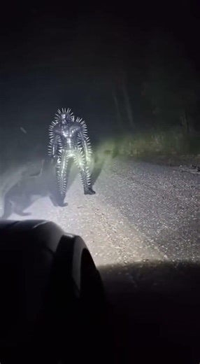 🐈‍⬛ PANTHER BITE! Black Panther vs Silver Spikes! 【戦慄】黒豹がトゲのスーツを噛む！闇の王者が痛みに叫ぶ