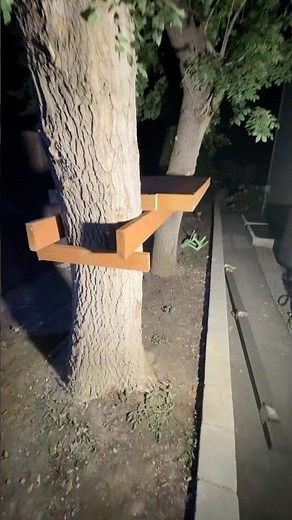 DIY Treehouse Between Two Trees 🌳 🌳| Part 1