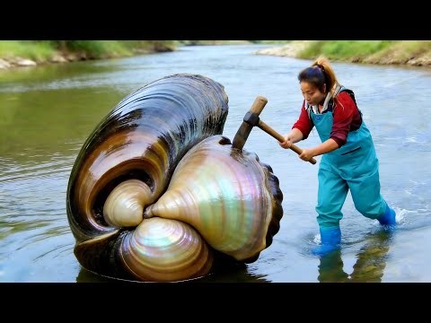The girl fought against the deformed river clam and harvested a beautiful treasure