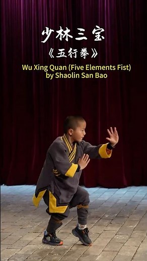 Wu Xing Quan (Five Elements Fist) by Shaolin San Bao #kungfu #martialarts #shaolin #henan