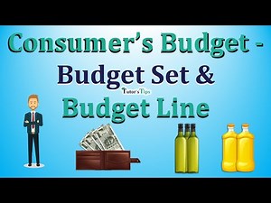 Consumer’s Budget- Budget set and Budget Line - Explained with Animated Examples