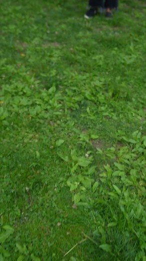 Are you just getting started with photography? Here are Maria's 3 tips to improve your photos! Check out our YouTube channel to learn even more.#photographytips #beginnerphotography #bhtok