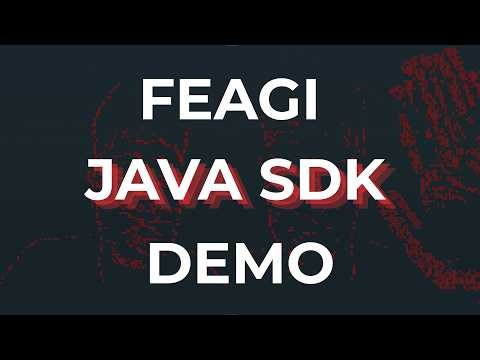 FEAGI Java SDK Demo