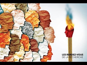 The Great Experiment: How to Make Diverse Democracies Work