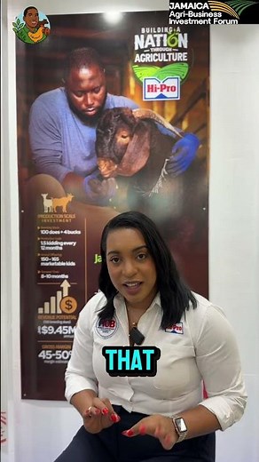 Why raise goats in Jamaica