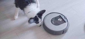iRobot Roomba i7+ 扫地机器人是如何提高养宠一族的生活品质？